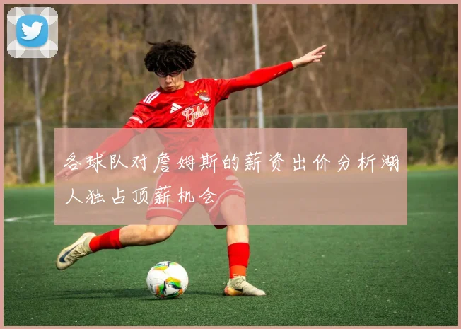各球队对詹姆斯的薪资出价分析湖人独占顶薪机会